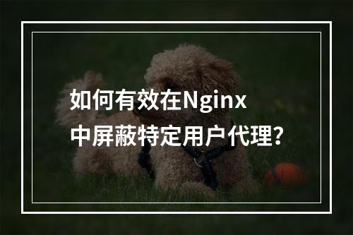 如何有效在Nginx中屏蔽特定用户代理?