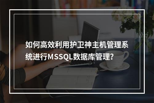 如何高效利用护卫神主机管理系统进行MSSQL数据库管理?
