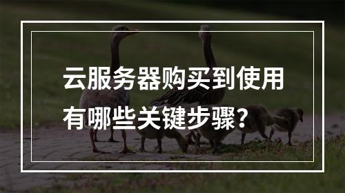 云服务器购买到使用有哪些关键步骤？