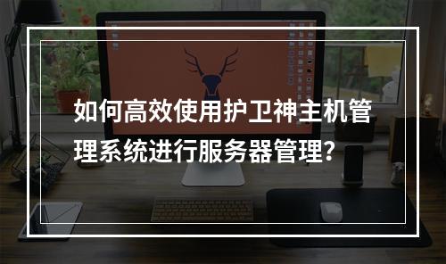 如何高效使用护卫神主机管理系统进行服务器管理?
