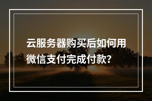 云服务器购买后如何用微信支付完成付款？
