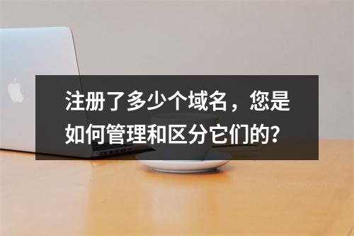 注册了多少个域名,您是如何管理和区分它们的?