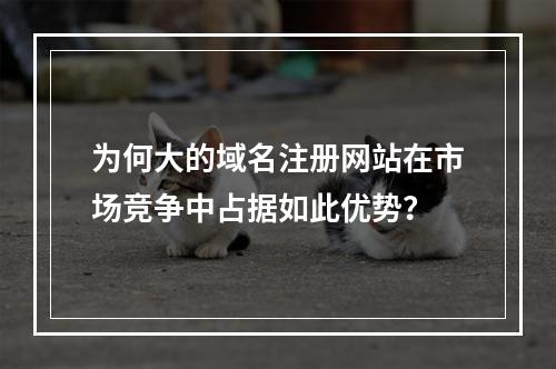 为何大的域名注册网站在市场竞争中占据如此优势?
