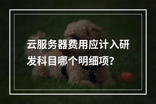 云服务器费用应计入研发科目哪个明细项？