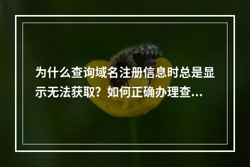 为什么查询域名注册信息时总是显示无法获取?如何正确办理查询手续?