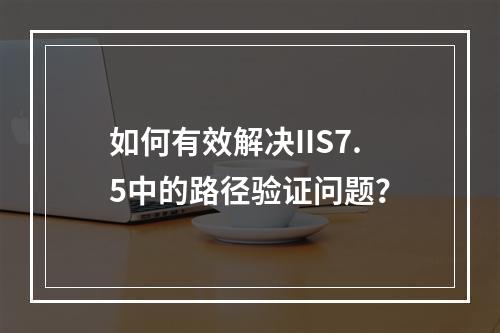 如何有效解决IIS7.5中的路径验证问题?