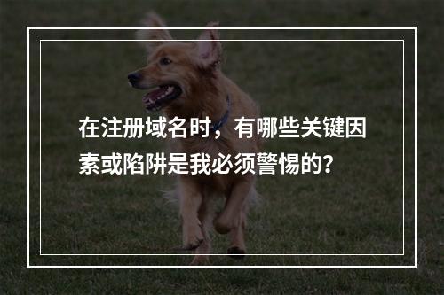 在注册域名时,有哪些关键因素或陷阱是我必须警惕的?