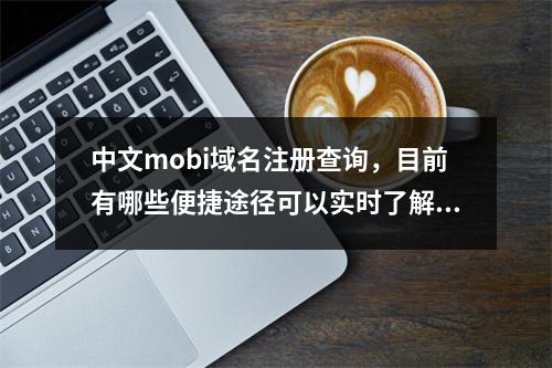 中文mobi域名注册查询,目前有哪些便捷途径可以实时了解域名注册状态?