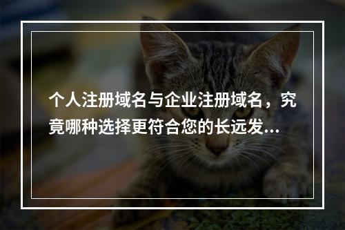 个人注册域名与企业注册域名,究竟哪种选择更符合您的长远发展需求?