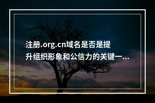 注册.org.cn域名是否是提升组织形象和公信力的关键一步?