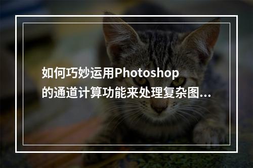 如何巧妙运用Photoshop的通道计算功能来处理复杂图像?