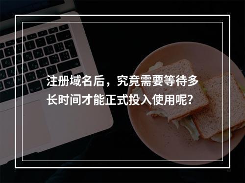 注册域名后,究竟需要等待多长时间才能正式投入使用呢?