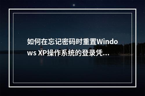 如何在忘记密码时重置Windows XP操作系统的登录凭证?