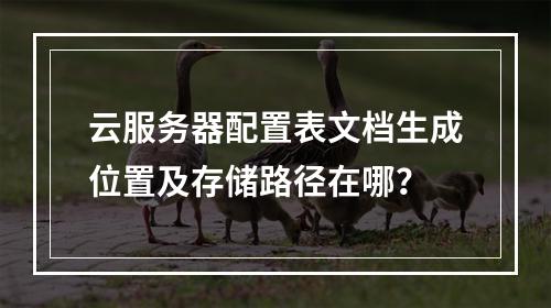 云服务器配置表文档生成位置及存储路径在哪？