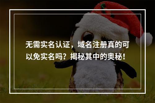无需实名认证,域名注册真的可以免实名吗?揭秘其中的奥秘!