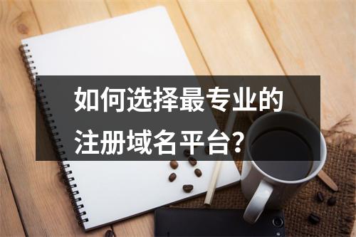 如何选择最专业的注册域名平台?