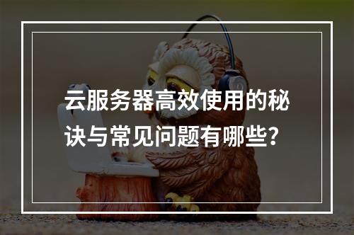 云服务器高效使用的秘诀与常见问题有哪些？