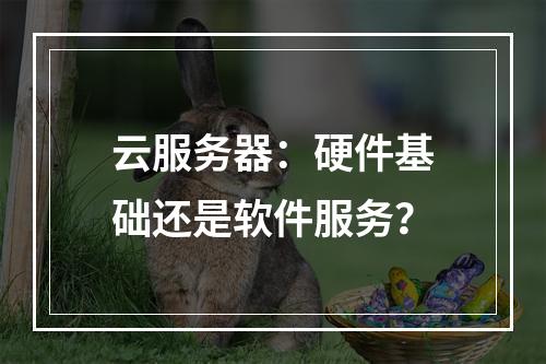 云服务器：硬件基础还是软件服务？