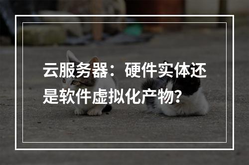 云服务器：硬件实体还是软件虚拟化产物？