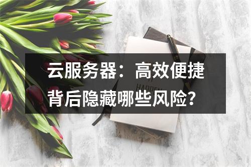 云服务器：高效便捷背后隐藏哪些风险？