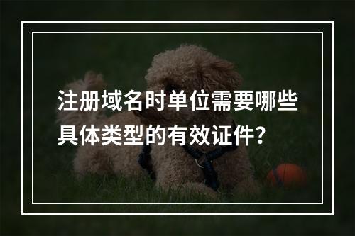 注册域名时单位需要哪些具体类型的有效证件?
