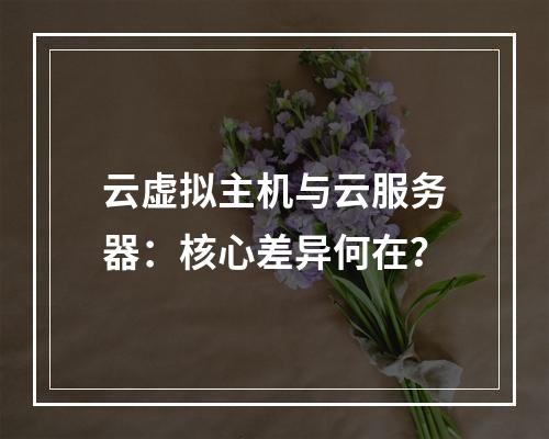 云虚拟主机与云服务器：核心差异何在？