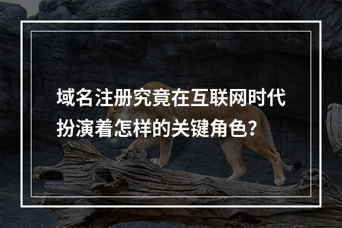 域名注册究竟在互联网时代扮演着怎样的关键角色?