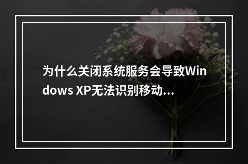 为什么关闭系统服务会导致Windows XP无法识别移动硬盘?