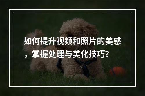 如何提升视频和照片的美感,掌握处理与美化技巧?