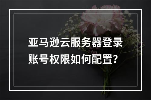 亚马逊云服务器登录账号权限如何配置？