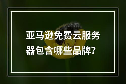 亚马逊免费云服务器包含哪些品牌？