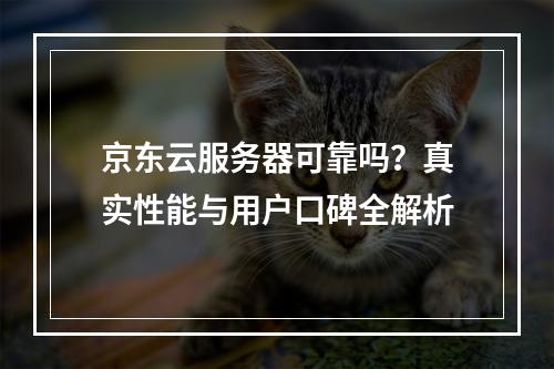 京东云服务器可靠吗？真实性能与用户口碑全解析