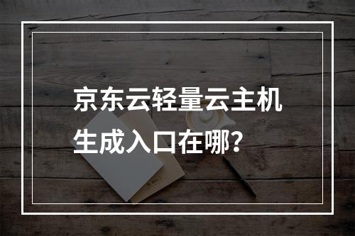 京东云轻量云主机生成入口在哪？