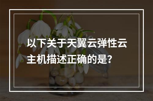 以下关于天翼云弹性云主机描述正确的是？