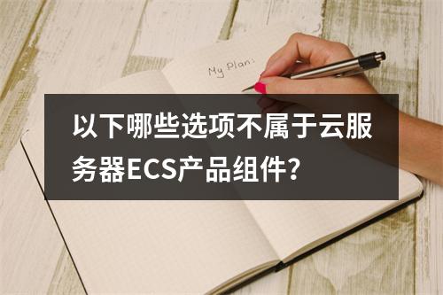 以下哪些选项不属于云服务器ECS产品组件？