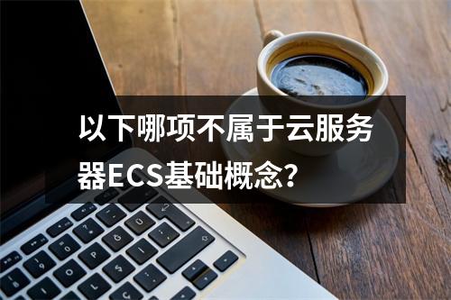 以下哪项不属于云服务器ECS基础概念？