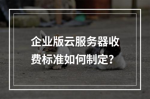 企业版云服务器收费标准如何制定？