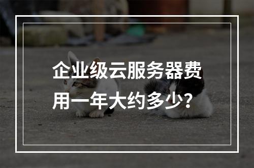 企业级云服务器费用一年大约多少？