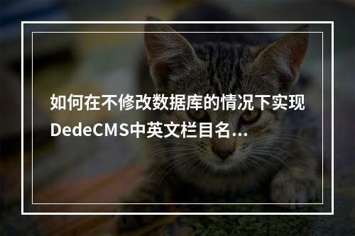 如何在不修改数据库的情况下实现DedeCMS中英文栏目名的切换?