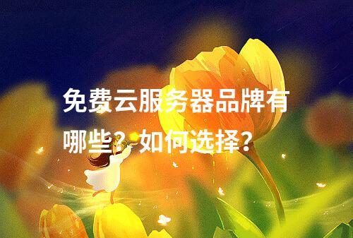 免费云服务器品牌有哪些？如何选择？