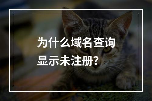为什么域名查询显示未注册?
