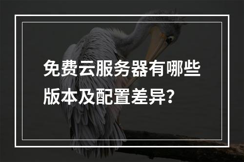 免费云服务器有哪些版本及配置差异？