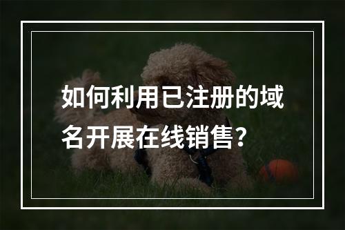 如何利用已注册的域名开展在线销售?