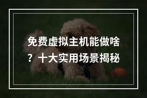 免费虚拟主机能做啥？十大实用场景揭秘