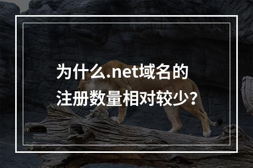 为什么.net域名的注册数量相对较少?