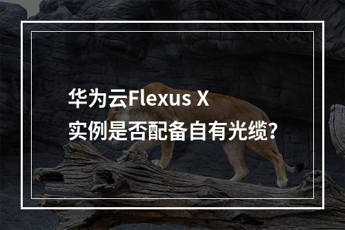 华为云Flexus X实例是否配备自有光缆？