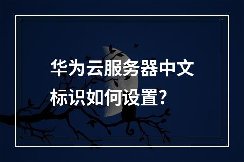 华为云服务器中文标识如何设置？