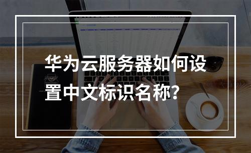 华为云服务器如何设置中文标识名称？