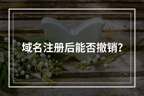 域名注册后能否撤销?