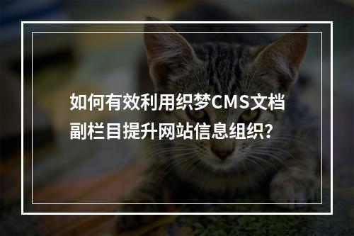 如何有效利用织梦CMS文档副栏目提升网站信息组织?